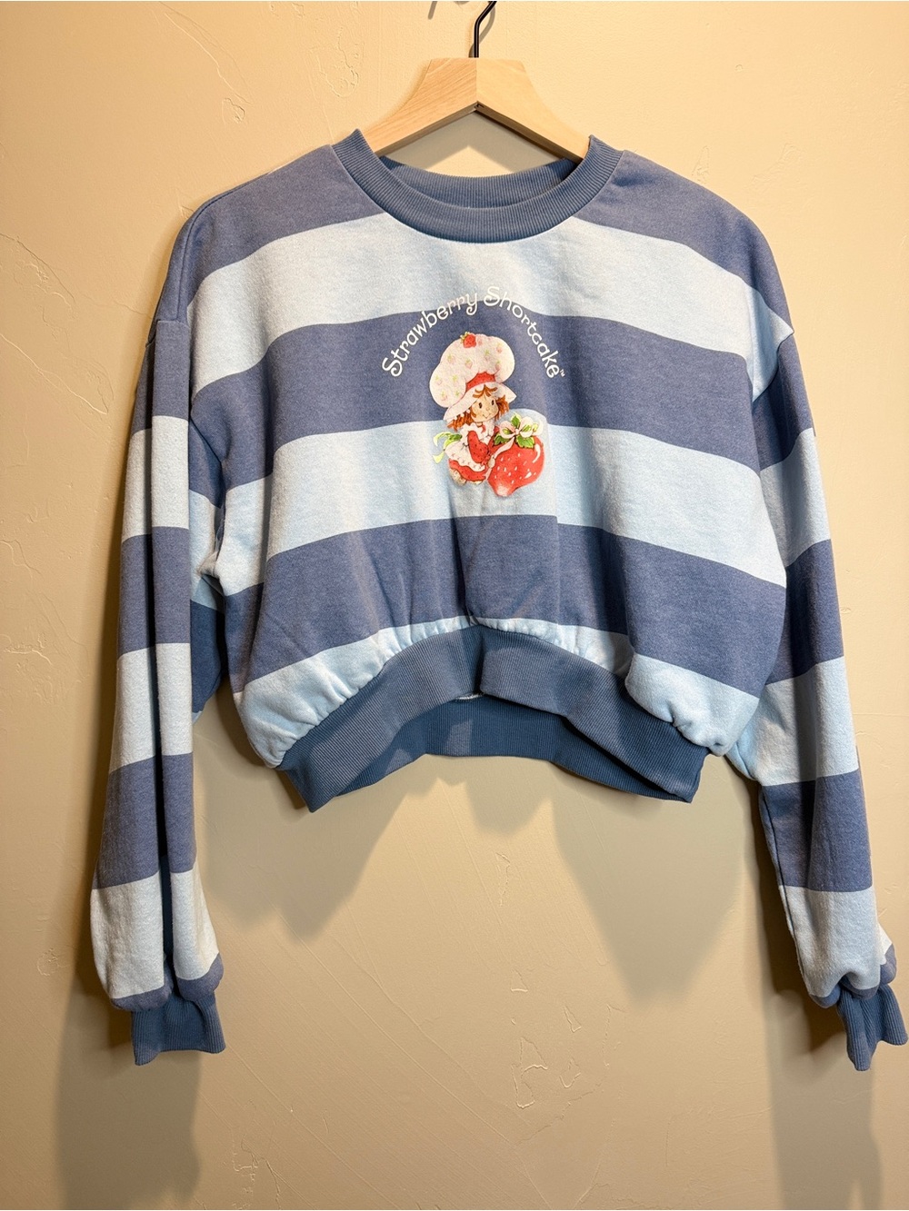 Strawberry Shortcake Striped Blue Crop Sweatshirt - Picture 2 of 3